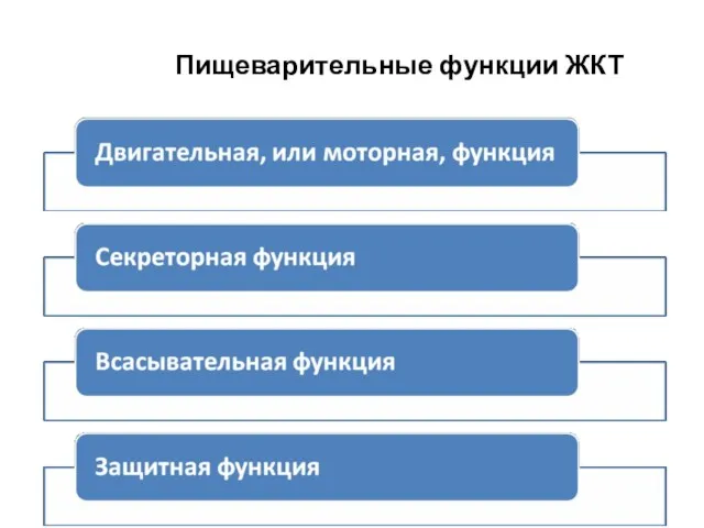 Пищеварительные функции ЖКТ