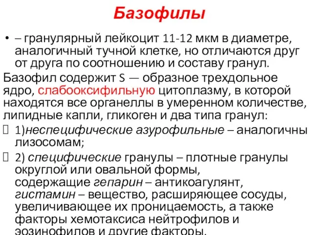 Базофилы – гранулярный лейкоцит 11-12 мкм в диаметре, аналогичный тучной