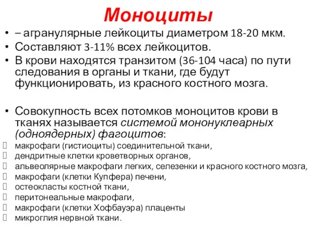 Моноциты – агранулярные лейкоциты диаметром 18-20 мкм. Составляют 3-11% всех лейкоцитов. В крови