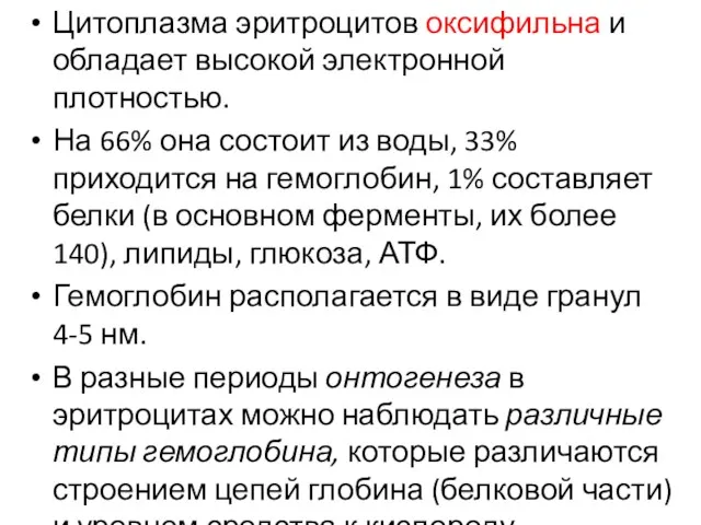 Цитоплазма эритроцитов оксифильна и обладает высокой электронной плотностью. На 66%