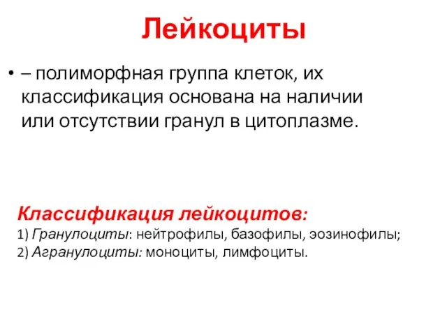 Лейкоциты – полиморфная группа клеток, их классификация основана на наличии или отсутствии гранул