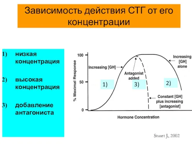 Зависимость действия СТГ от его концентрации Stuart J., 2002 низкая