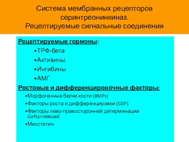 Система мембранных рецепторов серинтреонинкиназ. Рецептируемые сигнальные соединения Рецептируемые гормоны: ТРФ-бета