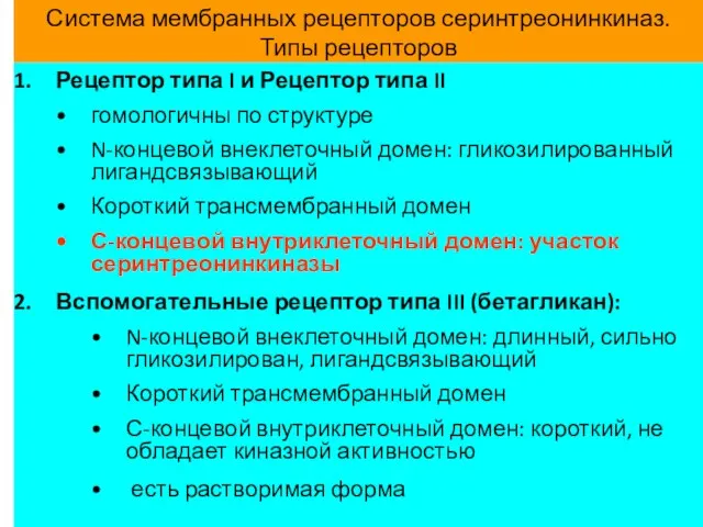 Система мембранных рецепторов серинтреонинкиназ. Типы рецепторов Рецептор типа I и