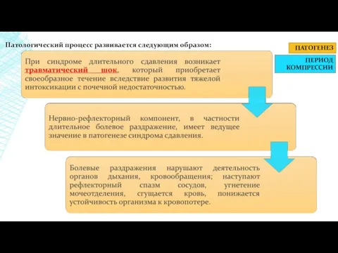 ПАТОГЕНЕЗ Патологический процесс развивается следующим образом: ПЕРИОД КОМПРЕССИИ