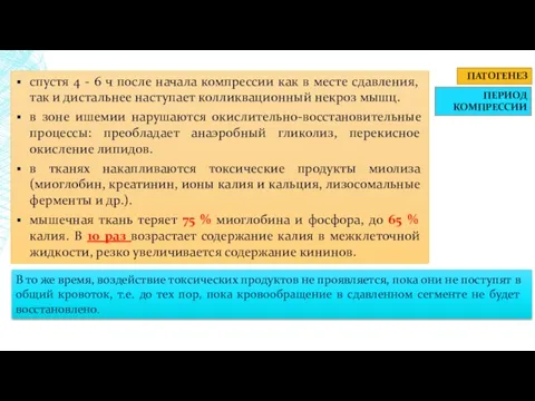 ПАТОГЕНЕЗ ПЕРИОД КОМПРЕССИИ спустя 4 - 6 ч после начала