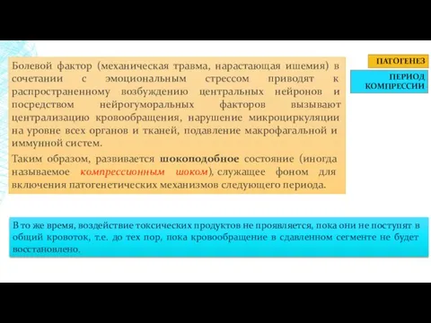 ПАТОГЕНЕЗ ПЕРИОД КОМПРЕССИИ Болевой фактор (механическая травма, нарастающая ишемия) в