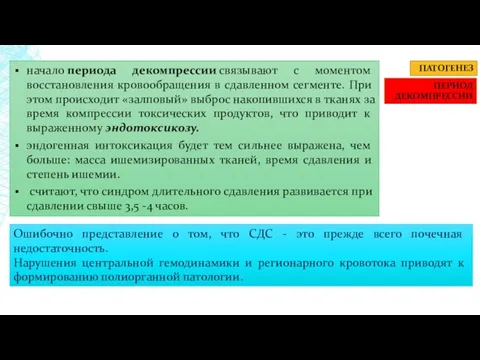 ПАТОГЕНЕЗ ПЕРИОД ДЕКОМПРЕССИИ начало периода декомпрессии связывают с моментом восстановления кровообращения в сдавленном