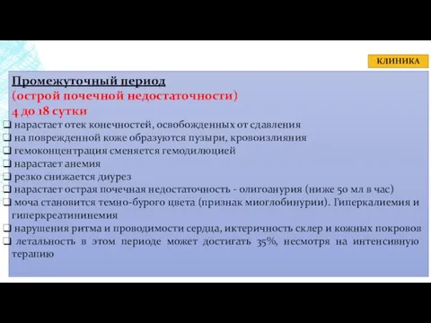 КЛИНИКА Промежуточный период (острой почечной недостаточности) 4 до 18 сутки