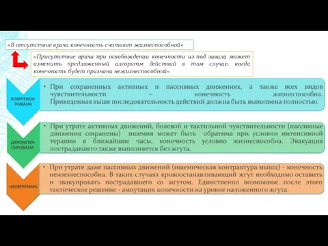 «В отсутствие врача конечность считают жизнеспособной» «Присутствие врача при освобождении