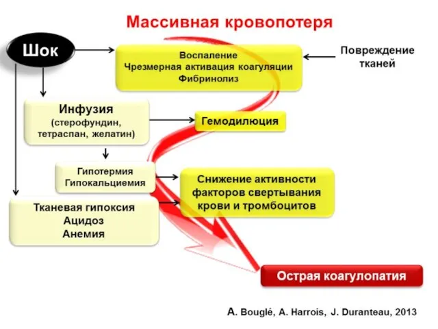 Куликов А.В.