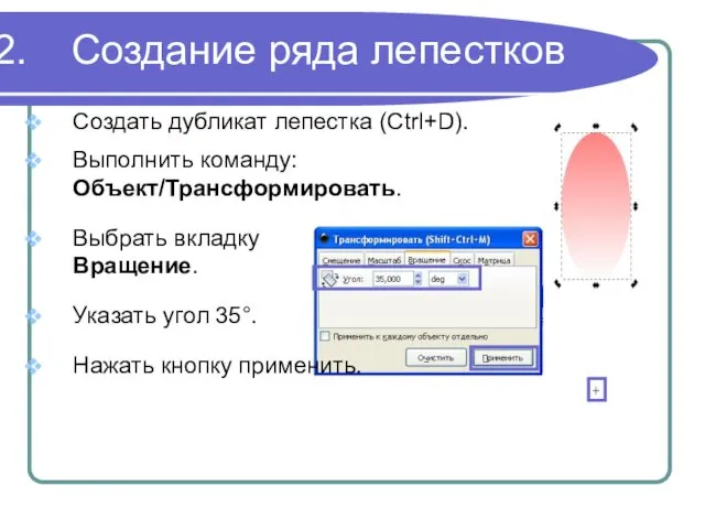 Создание ряда лепестков Создать дубликат лепестка (Ctrl+D). Выполнить команду: Объект/Трансформировать.