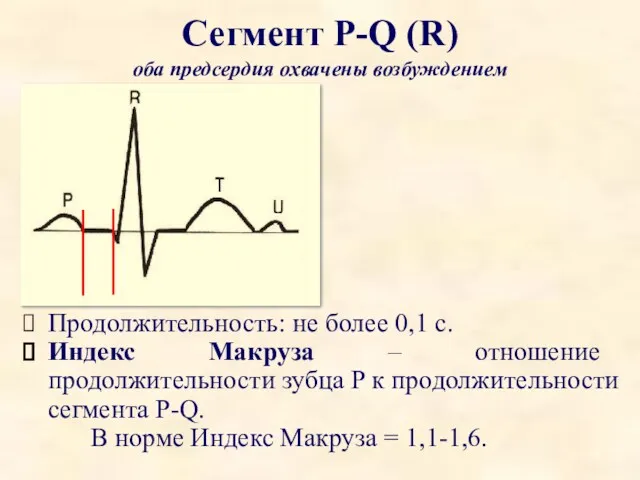 Сегмент P-Q (R) оба предсердия охвачены возбуждением Продолжительность: не более