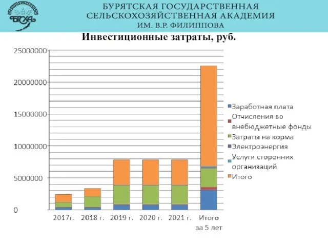 Инвестиционные затраты, руб.