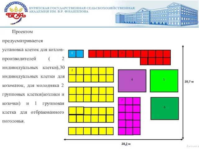 Проектом предусматривается установка клеток для козлов-производителей ( 2 индивидуальных клетки),30