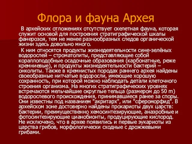 Флора и фауна Архея В архейских отложениях отсутствует скелетная фауна,