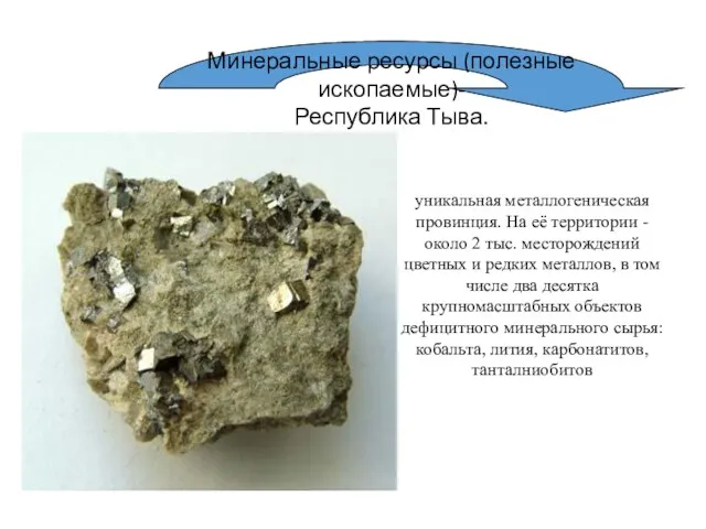 Минеральные ресурсы (полезные ископаемые)- Республика Тыва. уникальная металлогеническая провинция. На