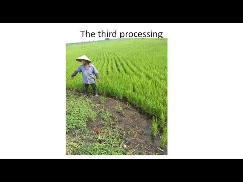The third processing