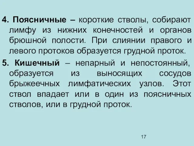 4. Поясничные – короткие стволы, собирают лимфу из нижних конечностей