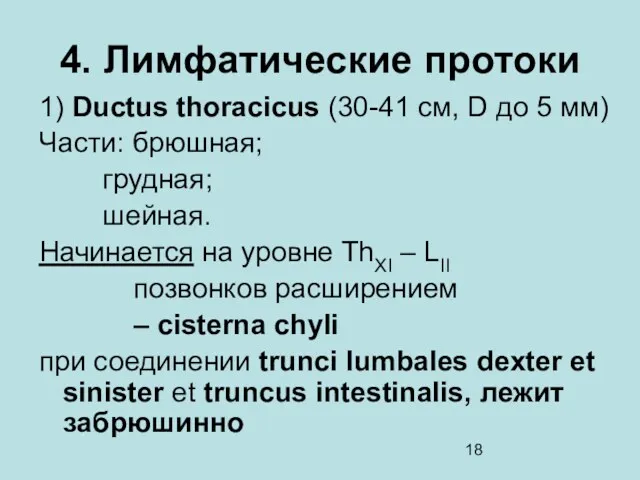 4. Лимфатические протоки 1) Ductus thoracicus (30-41 cм, D до