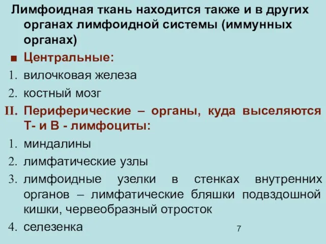 Лимфоидная ткань находится также и в других органах лимфоидной системы