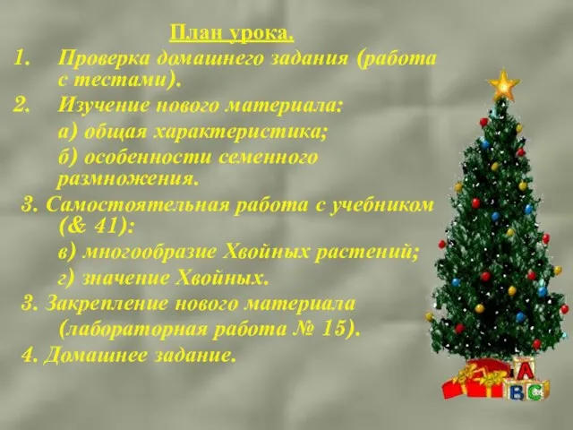 План урока. Проверка домашнего задания (работа с тестами). Изучение нового