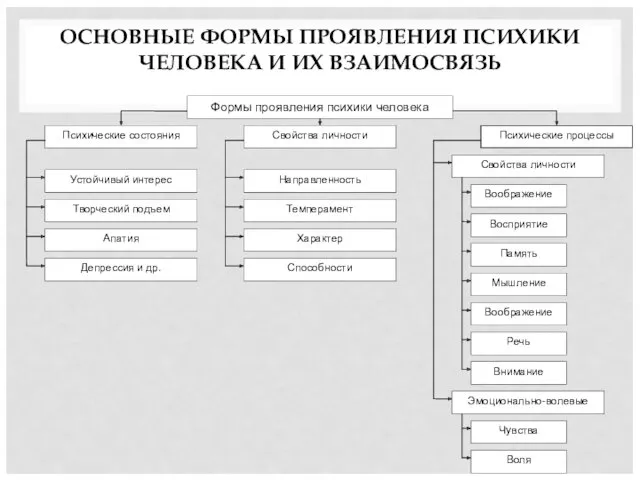 ОСНОВНЫЕ ФОРМЫ ПРОЯВЛЕНИЯ ПСИХИКИ ЧЕЛОВЕКА И ИХ ВЗАИМОСВЯЗЬ