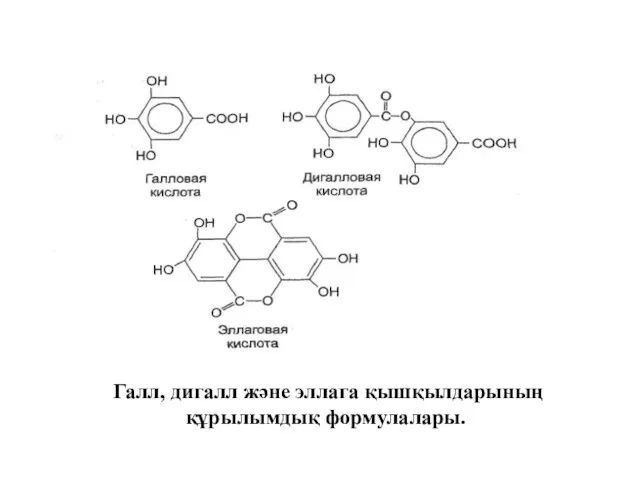 Галл, дигалл және эллага қышқылдарының құрылымдық формулалары.