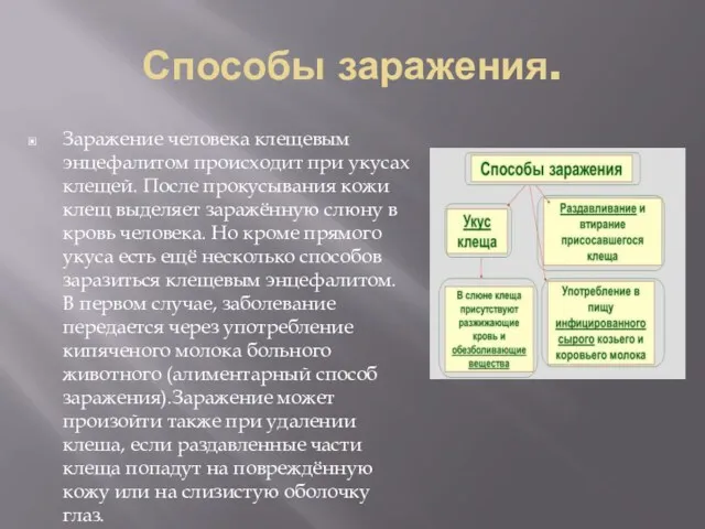 Способы заражения. Заражение человека клещевым энцефалитом происходит при укусах клещей.