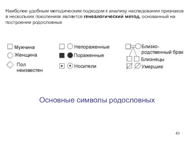 Основные символы родословных Наиболее удобным методическим подходом к анализу наследования