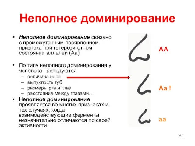 Неполное доминирование Неполное доминирование связано с промежуточным проявлением признака при