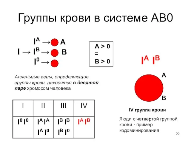 Группы крови в системе АВ0 IA IB IV группа крови