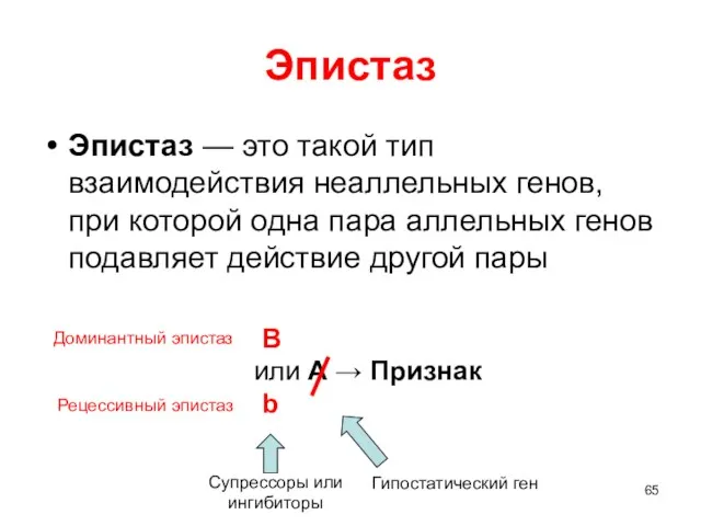 Эпистаз Эпистаз — это такой тип взаимодействия неаллельных генов, при