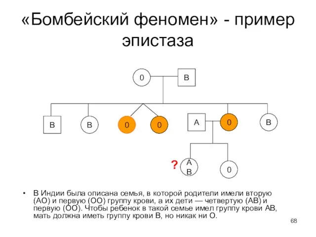 «Бомбейский феномен» - пример эпистаза В Индии была описана семья,