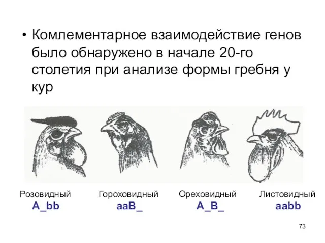 Комлементарное взаимодействие генов было обнаружено в начале 20-го столетия при