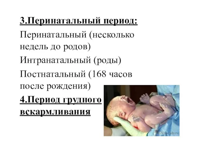 3.Перинатальный период: Перинатальный (несколько недель до родов) Интранатальный (роды) Постнатальный