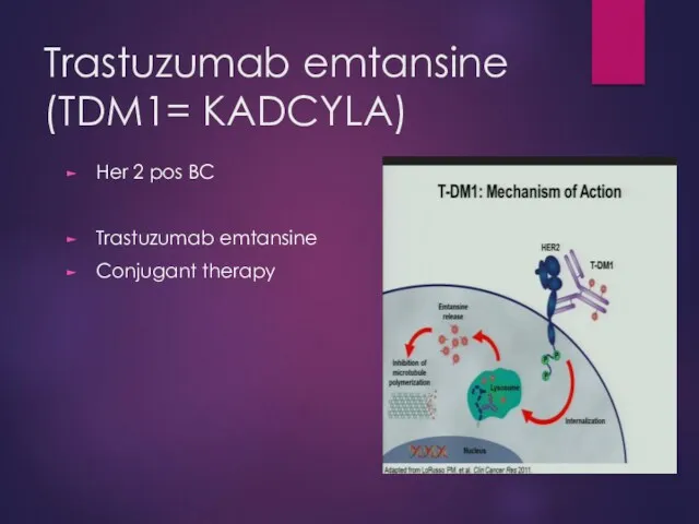 Trastuzumab emtansine (TDM1= KADCYLA) Her 2 pos BC Trastuzumab emtansine Conjugant therapy