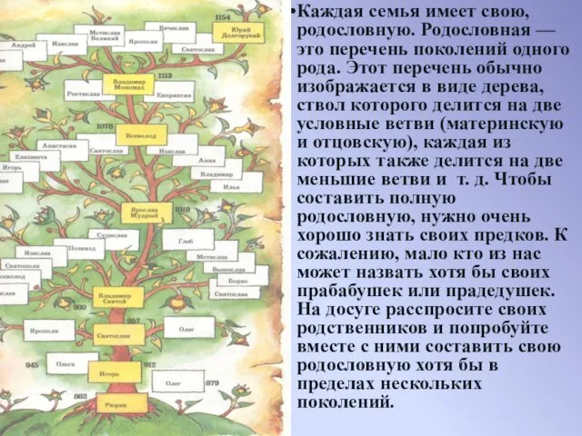 Каждая семья имеет свою, родословную. Родословная — это перечень поколений