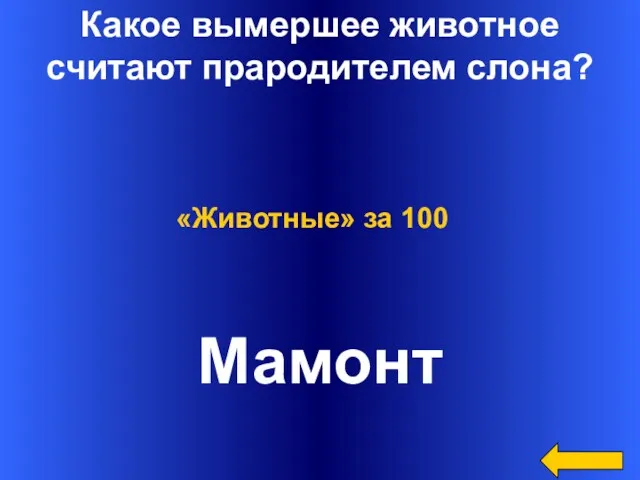 Какое вымершее животное считают прародителем слона? Мамонт «Животные» за 100