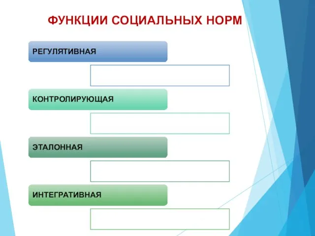 РЕГУЛЯТИВНАЯ КОНТРОЛИРУЮЩАЯ ЭТАЛОННАЯ ИНТЕГРАТИВНАЯ ФУНКЦИИ СОЦИАЛЬНЫХ НОРМ