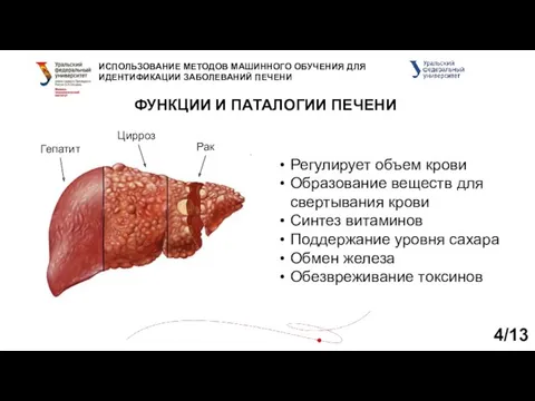 ИСПОЛЬЗОВАНИЕ МЕТОДОВ МАШИННОГО ОБУЧЕНИЯ ДЛЯ ИДЕНТИФИКАЦИИ ЗАБОЛЕВАНИЙ ПЕЧЕНИ ФУНКЦИИ И