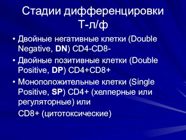Стадии дифференцировки Т-л/ф Двойные негативные клетки (Double Negative, DN) CD4-CD8- Двойные позитивные клетки