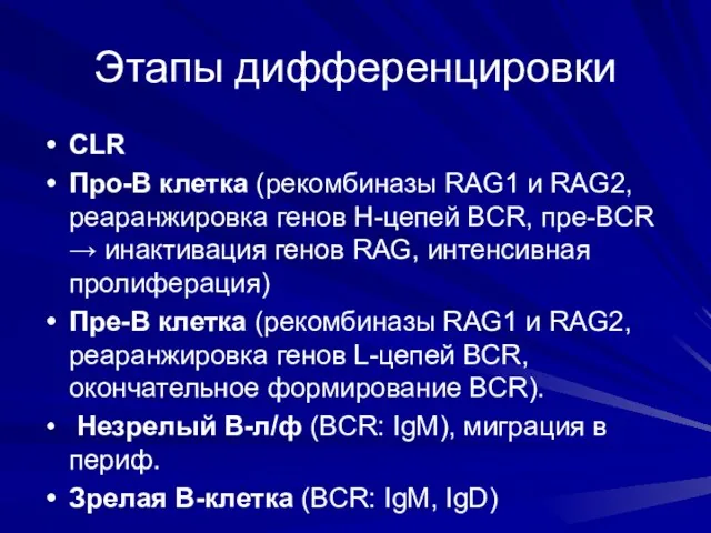 Этапы дифференцировки СLR Про-В клетка (рекомбиназы RAG1 и RAG2, реаранжировка генов Н-цепей BCR,