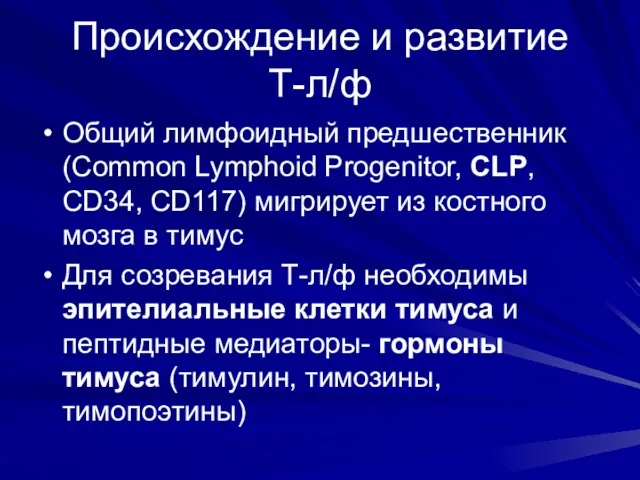 Происхождение и развитие Т-л/ф Общий лимфоидный предшественник (Common Lymphoid Progenitor, CLP, CD34, CD117)