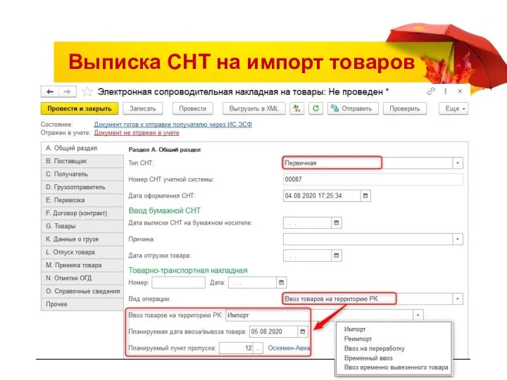 Выписка СНТ на импорт товаров