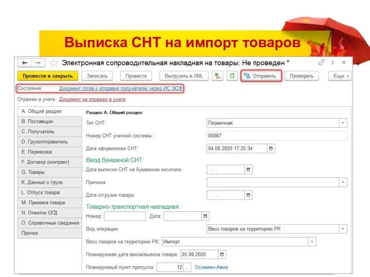 Выписка СНТ на импорт товаров