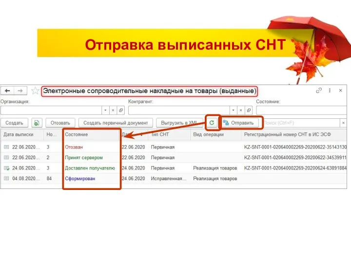 Отправка выписанных СНТ