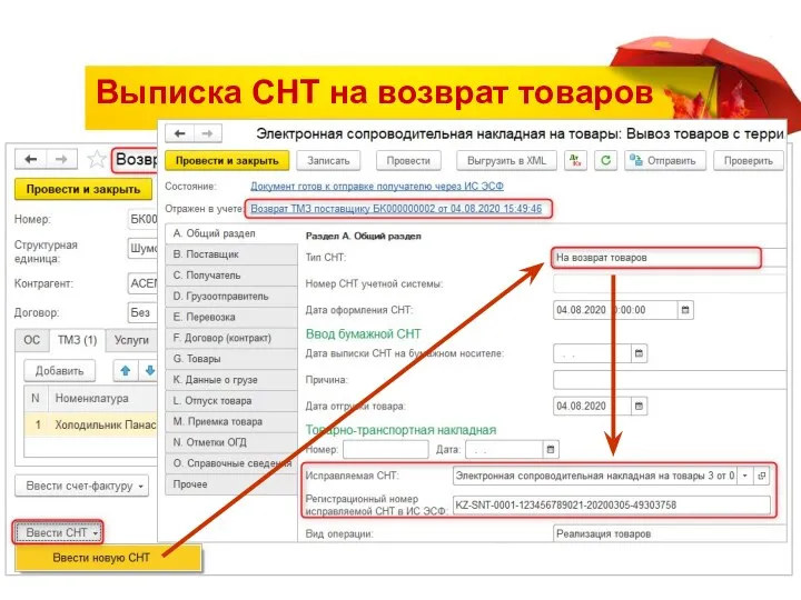 Выписка СНТ на возврат товаров