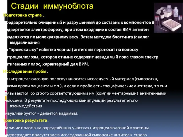 Стадии иммуноблота Подготовка стрипа . Предварительно очищенный и разрушенный до