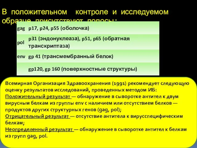 В положительном контроле и исследуемом образце присутствуют полосы: Всемирная Организация